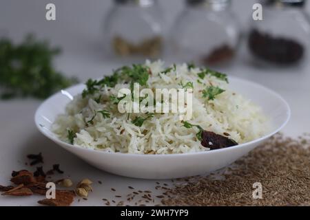 Jeera Bhaat oder Jeera Rice. Köstliches und aromatisches indisches Reisgericht mit Basmati-Reis, aromatisiert mit Kümmel und anderen Gewürzen. Perfekte Beilage. Idee Stockfoto