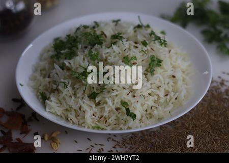 Jeera Bhaat oder Jeera Rice. Köstliches und aromatisches indisches Reisgericht mit Basmati-Reis, aromatisiert mit Kümmel und anderen Gewürzen. Perfekte Beilage. Idee Stockfoto