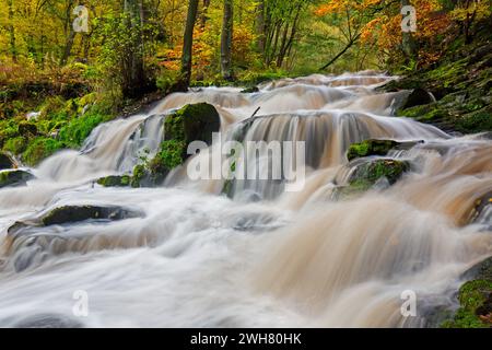 Wasserfall bei Alexisbad an der Selke im Naturschutzgebiet obere Selketal im Herbst, Landkreis Harz, Sachsen-Anhalt/Sachsen-Anhalt, Deutschland Stockfoto