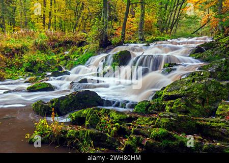 Wasserfall bei Alexisbad an der Selke im Naturschutzgebiet obere Selketal im Herbst, Landkreis Harz, Sachsen-Anhalt/Sachsen-Anhalt, Deutschland Stockfoto