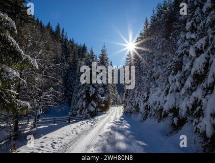 Eine Winterlandschaft in den Bergen. Wunderschöne Landschaft auf einer schneebedeckten Straße zwischen Bergen mit Kiefernwald, blauem Himmel und Sonne Stockfoto