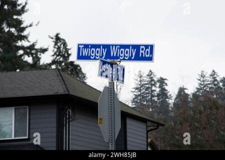 Twiggly Wiggly Road Straßenschild in Nanaimo, British Columbia, Kanada Stockfoto