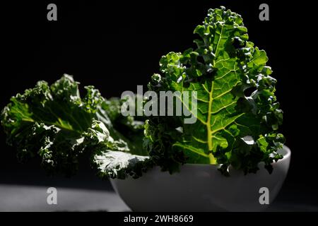 Kohl. Grünes Grünkohl. Lockig grüner Blattkohl auf dunklem Hintergrund Stockfoto