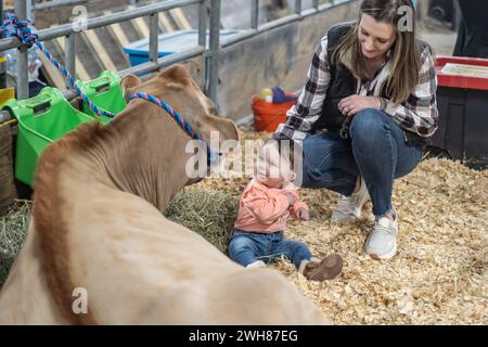 Harrisburg Pennsylvania – 13. Januar 2024: Familie trifft auf eine Milchkuh auf der Pennsylvania Farm Show Stockfoto