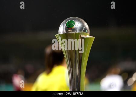 Frankfurt, Deutschland. Februar 2024. Frankfurt, 8. Februar 2024: Der Pokal beim DFB-Pokal-Fußballspiel zwischen Eintracht Frankfurt und SC Freiburg im Stadion am Brentanobad in Frankfurt. (Julia Kneissl/SPP) Credit: SPP Sport Press Photo. /Alamy Live News Stockfoto