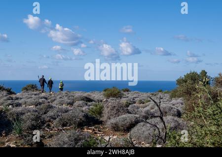 Eine Gruppe von nicht anerkannten Menschen, die in der Natur auf einem Wanderweg wandern. Gesunde Lebensweise Wandern im Freien Stockfoto