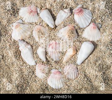 Kreative Szene des Liebesherzenssymbols mit Muscheln im Wasser auf sandigem Hintergrund. Minimales Sommerkonzept. Trendige Idee für den Sommer. Strand Meer Stockfoto