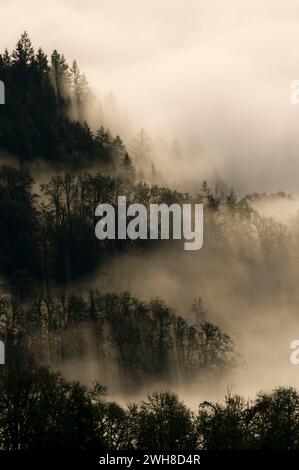 Willamette Valley Nebel aus Mt Pisgah Gipfel, Howard Buford County Park Lane County, Oregon Stockfoto