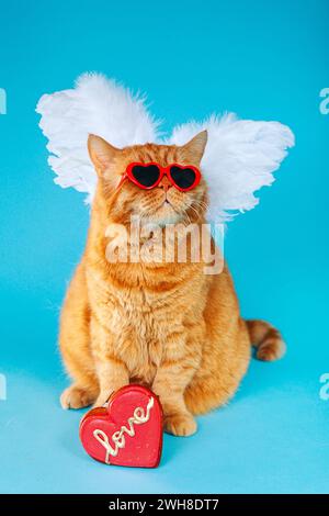 Angel Cupid Ingwer britische Katze mit Sonnenbrille und Engelsflügeln auf blauem Hintergrund. Valentinstag-Konzept Stockfoto