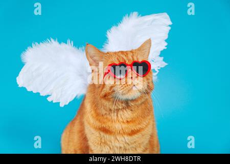 Angel Cupid Ingwer britische Katze mit Sonnenbrille und Engelsflügeln auf blauem Hintergrund. Valentinstag-Konzept Stockfoto