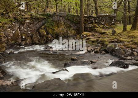 Eine alte steinerne Lastesel Brücke über den Fluss Artro, Gwynedd, Wales Stockfoto