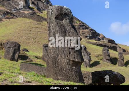 Moais von Rano Raraku, die Wiege der Steinstatuen auf Rapa Nui, Osterinsel. Stockfoto