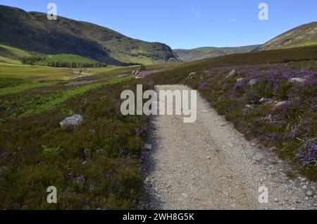 Trekker gehen in den Cairngorms National Park in Angus, Schottland, Großbritannien Stockfoto