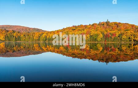 Herbstwald spiegelt sich im Wasser. Farbenfroher Herbstmorgen in den Bergen. Farbenfroher Herbstmorgen im Bergsee. Farbenfrohe Herbstlandschaft. Parc Stockfoto