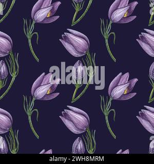 Nahtloses lila Blumenmuster. Wilde Pulsatilla im ersten Frühling, östliche Pasqueflower, Präriekrokus, Felsenlilie. Handgezeichnete Aquarellillustration auf Stockfoto