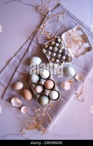 Araucana Hühnereier in freier Reichweite, einschließlich blau und grün, mit japanischem Jumbo Wachteleier Flatlay. Stockfoto