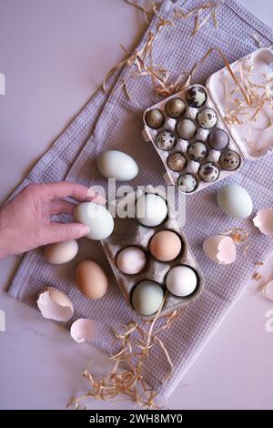 Araucana Hühnereier in freier Reichweite, einschließlich blau und grün, mit japanischem Jumbo Wachteleier Flatlay. Stockfoto