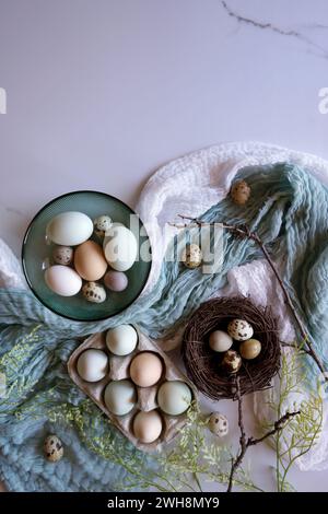 Araucana Hühnereier in freier Reichweite, einschließlich blau und grün, mit japanischem Jumbo Wachteleier Flatlay. Negativer Kopierbereich. Stockfoto