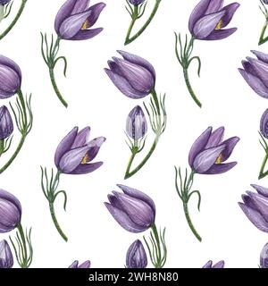 Nahtloses lila Blumenmuster. Wilde Pulsatilla im ersten Frühling, östliche Pasqueflower, Präriekrokus, Felsenlilie. Handgezeichnete Aquarellillustration auf Stockfoto