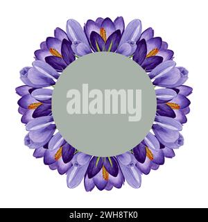 Violetter Krokuskranz, runder Rahmen mit Frühlingsblumen. Handgemalte Aquarellblume Illustration auf weißem Hintergrund Designelement für Etikett, Logo Stockfoto