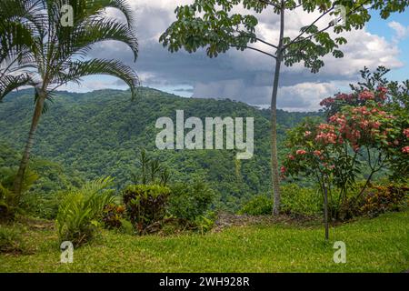 Costa Rica, Bijagual - 22. Juli, 20.23: Pura Vida Garten Naturschutzgebiet. Berglandschaft mit Bäumen und Blumen unter spektakulärer Wolkenlandschaft. 50 Stockfoto