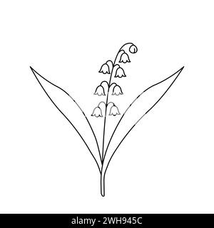 Lily aus dem Tal. Waldblühende Pflanze. Handgezeichnetes Skizzensymbol der Frühlingsblume. Isolierte Vektorillustration im Doodle-Line-Stil. Stock Vektor