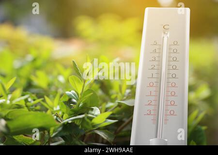 Thermometer and green plant outdoors. Temperature in spring Stockfoto