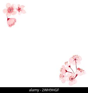 Aquarell handgezeichnet rosa Sakura Blume Rahmen isoliert auf weiß Stockfoto