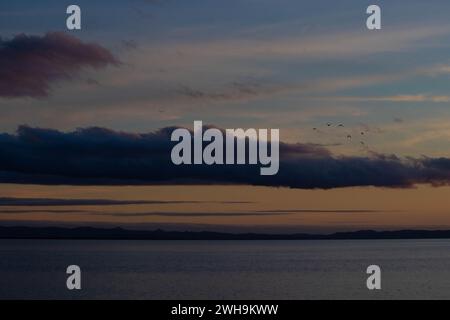 Friedlicher und ruhiger Blick auf den Sonnenuntergang bei Sonnenuntergang von der Themse Küste mit magischen dunklen, pastellfarbenen Wolken, Vögeln, Ozean, Nordinsel, Neuseeland Stockfoto