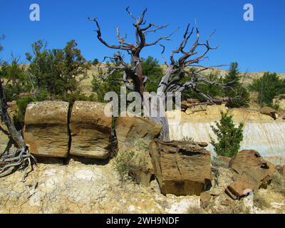 Formationslandschaft/Landschaft im Terry Badlands Wilderness Study Area, Montana Stockfoto