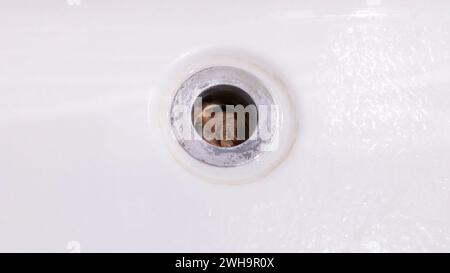 Clogs Im Abfluss, Haarausfall, Haarausfall. Große Blondine In Der Weißen Badewanne, Bad, Dusche. Verstopfte Leitung. Probleme Mit Der Rohrleitung Bei Stockfoto