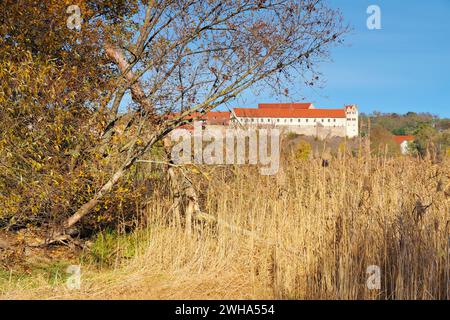 Schloss Giebichenstein Wettin an der Saale im Herbst Stockfoto