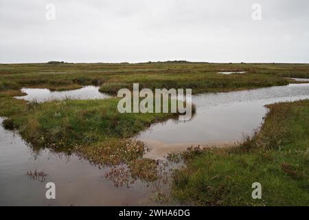 Das wunderschöne Sumpfgebiet von Borkum im Herbst Stockfoto