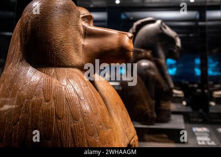 Figur eines hockenden Pavions, roter Quarzit, 18. Dynastie regierender Amenhotep III, Sammlung des British Museum Stockfoto