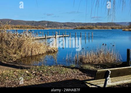 Eschwege Themenfoto: Deutschland, Stadt, Eschwege, Hessen, 07.02.2024 Werratalsee in Eschwege, Hessen Themenfoto: Deutschland, Stadt, Eschwege, Hessen, 07.02.2024 *** Eschwege Themenfoto Germany, City, Eschwege, Hessen, 07 02 2024 Werratalsee in Eschwege, Hessen Themenfoto Germany, City, Eschwege, Hessen, 07 02 2024 Copyright: xAugstx/xEibner-Pressefotox EP jat Stockfoto