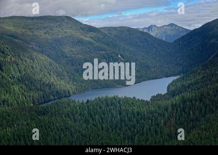Blick aus der Vogelperspektive auf die Wildnis in Alaska mit Bäumen und einem Fluss Stockfoto