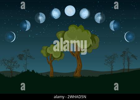 Mondphasen. Ganzer Zyklus von Neumond bis voll. Mondzyklus ändern. Neu, wachsend, Viertel, Halbmond, halb, voll, abnehmend, Eclipse.Night Landschaft mit Bäumen Stock Vektor