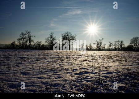 Verschneite Winterlandschaft mit Schnee und Eis im Kraichgau, Deutschland mit schönem Sonnenstern. Stockfoto