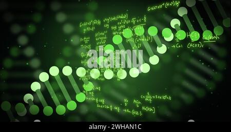 Bild des dna-Strangs und der wissenschaftlichen Datenverarbeitung auf schwarzem Hintergrund Stockfoto