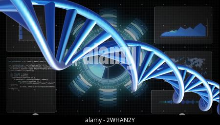 Bild des dna-Strangs, der sich mit Datenverarbeitung über schwarzem Hintergrund dreht Stockfoto