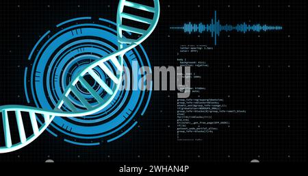 Bild des dna-Strangs, der sich mit Datenverarbeitung über schwarzem Hintergrund dreht Stockfoto
