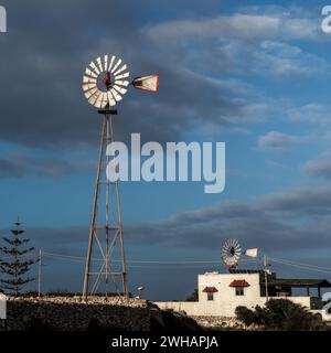 Blick auf ein typisches Ferienhaus und Windräder in der Landschaft von Malta im warmen Abendlicht Stockfoto