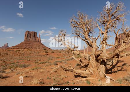 Die West und East Mitten Buttes sind zwei Buttes im Monument Valley Navajo Tribal Park im Nordosten des Navajo County, Arizona. Stockfoto