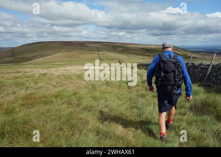 Lone man (Wanderer) Walking on Path by the Wall vom „Harland Hill“ zur „Height of Hazely“ in der Nähe von West Burton im Yorkshire Dales National Park, England. Stockfoto