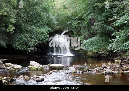 Die „Wasserfälle“ auf Walden Beck im Village of West Burton, Bishopdale, Yorkshire Dales National Park, England, Großbritannien. Stockfoto