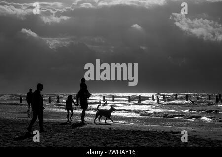 Wassersportbegeisterte mit verschiedenen Formen des Surfens und Segelns in Schwarzweiß in der Abenddämmerung fotografiert am Strand von Beit Yanai, Israel Beit Yanai Stockfoto