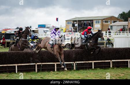 Grace A Vous Enki und James King Dead Heat mit Regatta de Blanc und will Biddick teilen sich den Leidos Coronation Gold Cup, Larkhill, 04.02.2024. Stockfoto