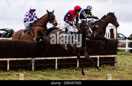 Grace A Vous Enki und James King Dead Heat mit Regatta de Blanc und will Biddick teilen sich den Leidos Coronation Gold Cup, Larkhill, 04.02.2024. Stockfoto