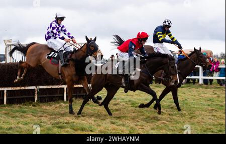 Grace A Vous Enki und James King Dead Heat mit Regatta de Blanc und will Biddick teilen sich den Leidos Coronation Gold Cup, Larkhill, 04.02.2024. Stockfoto