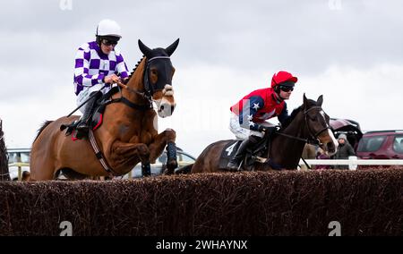 Grace A Vous Enki und James King Dead Heat mit Regatta de Blanc und will Biddick teilen sich den Leidos Coronation Gold Cup, Larkhill, 04.02.2024. Stockfoto